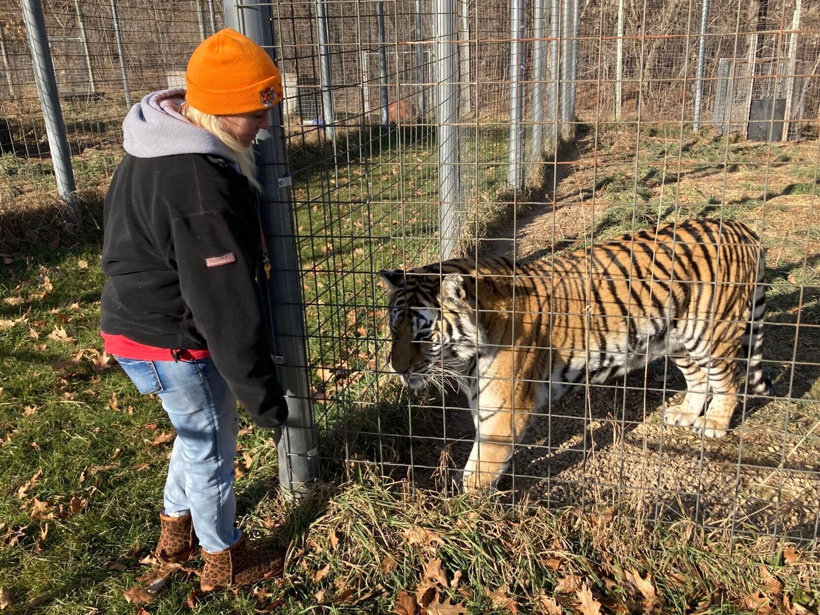 Wisconsin Tiger Big Cat Rescue